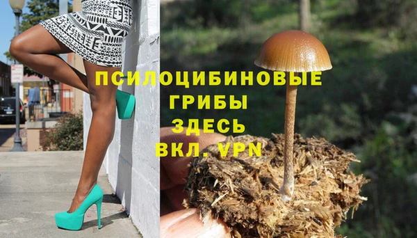 тгк Ельня