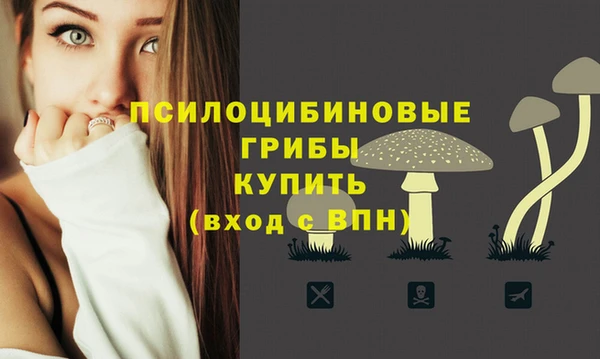 бошки Дмитров