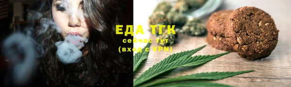 тгк Ельня