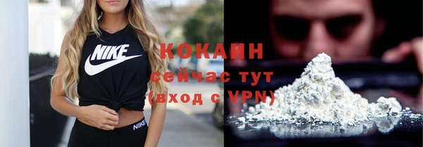 тгк Ельня
