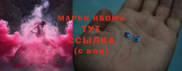 тгк Ельня