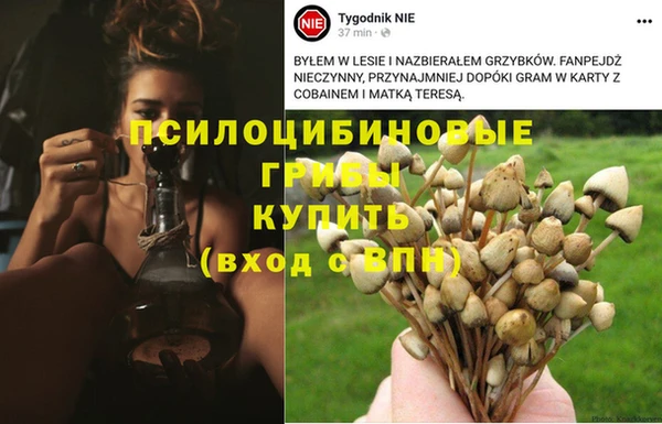 скорость Дмитровск
