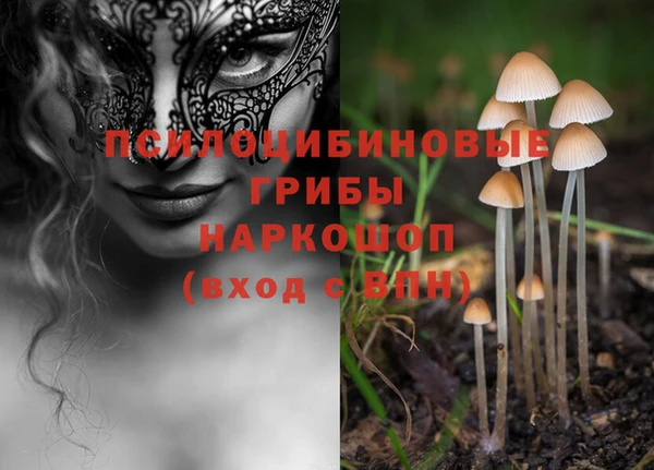 марки lsd Елабуга