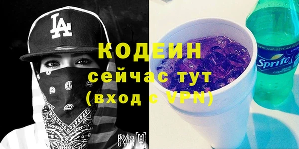 молекула духа Дмитриев