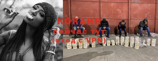 бошки Дмитров