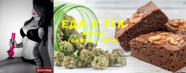 тгк Ельня